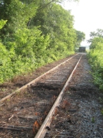 Track improvements on the WSRR